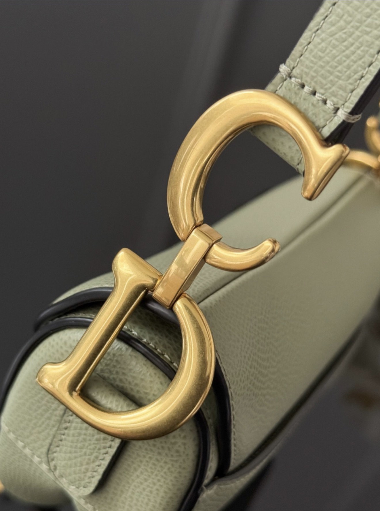 Saddle - Small Cream Green — صورة 2 من 9