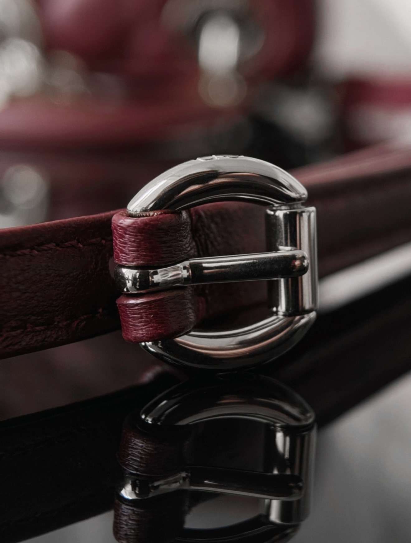 Lady Dior - Micro Burgundy — صورة 5 من 9