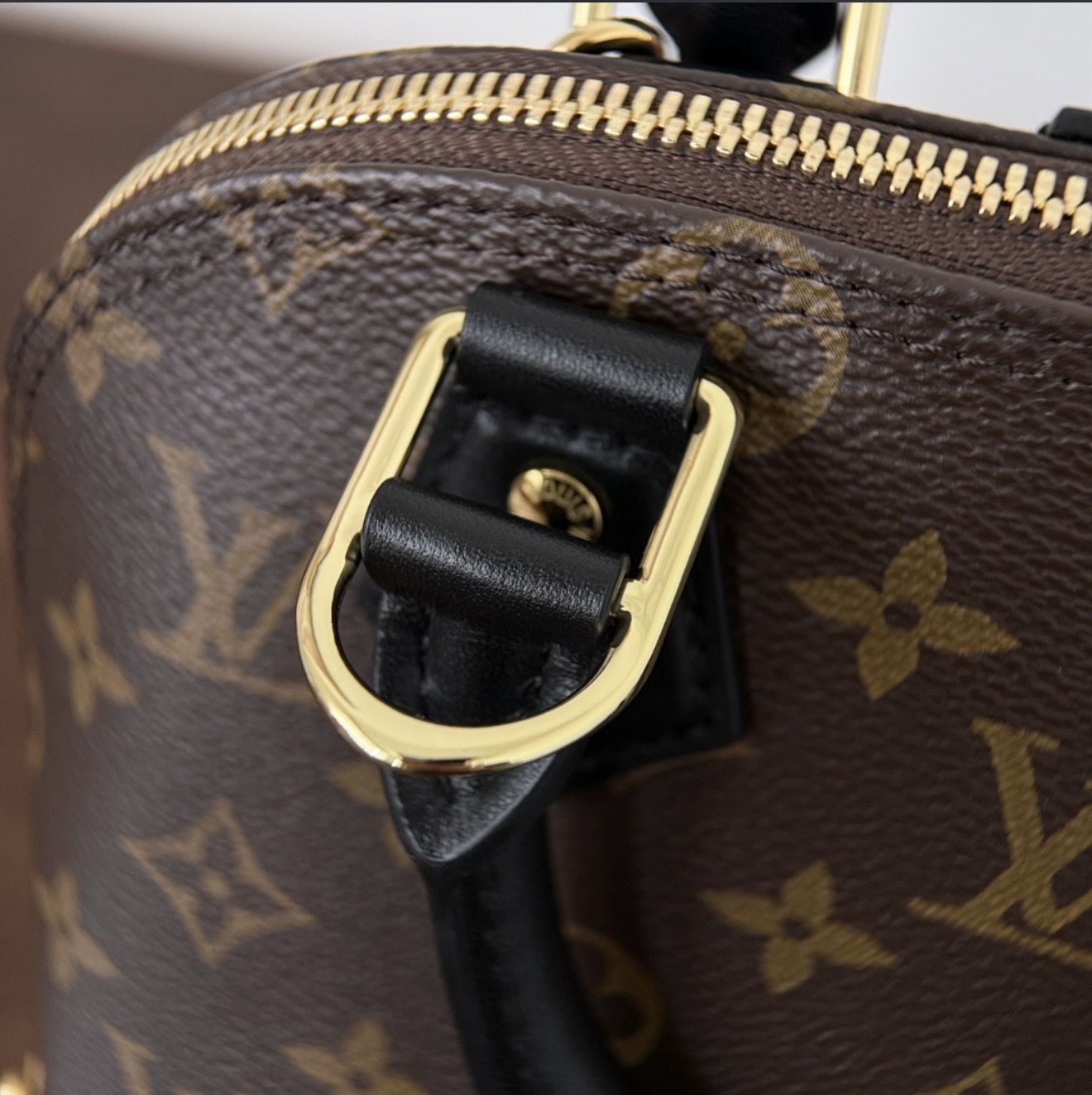 Alma Trunk — صورة 4 من 9