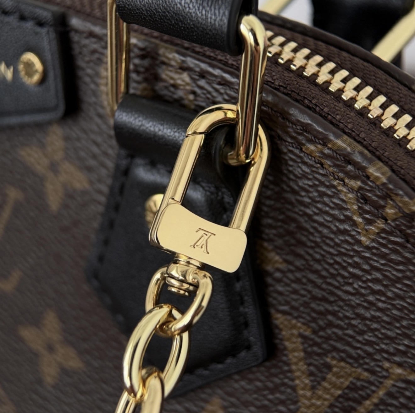 Alma Trunk — صورة 3 من 9